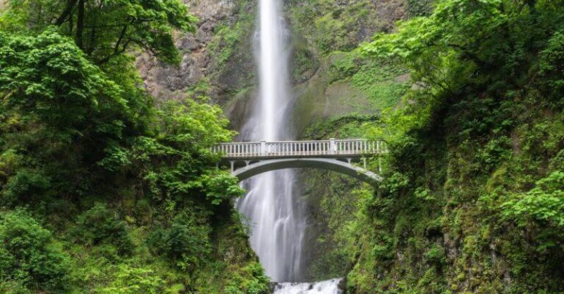 Waterfall and bridge in rainforest