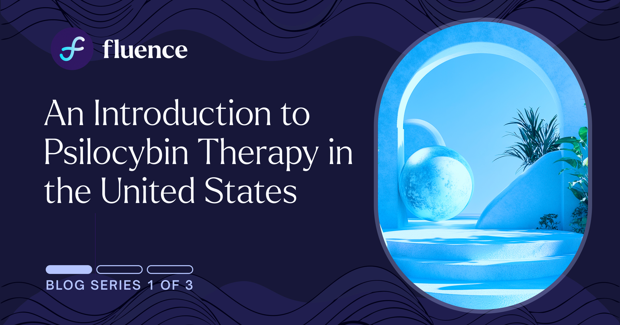 An Introduction to Psilocybin Therapy in the United States